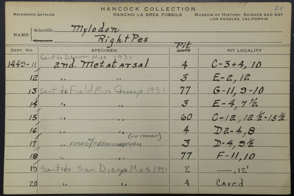 NCC 1449 (1)